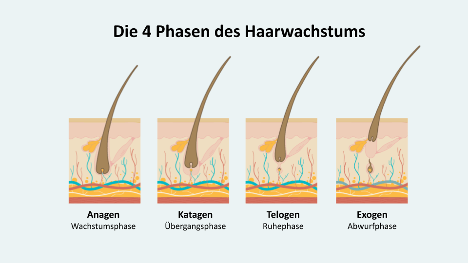 Verbessere dein Haarwachstum mit dem NioHair Kopfhautmassagekamm